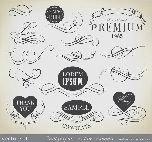 Éléments de conception calligraphique — Image vectorielle