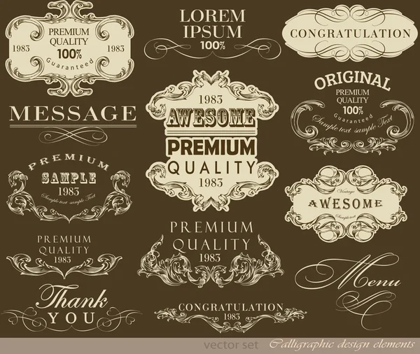 Calligraphic design elements — Stock Vector