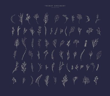 Çiçek dalı. El yapımı düğün otları, davetiye için zarif yapraklı ev bitkileri tarih kartı tasarımını sakla. Botanik kırsal