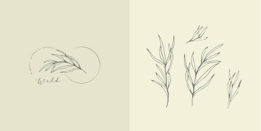 Bir dizi kadınsı botanik çiçeği dalı ve logosu. El yapımı düğün otları, zarif yapraklı ev bitkileri. Botanik kırsal trend yeşillik vektörü