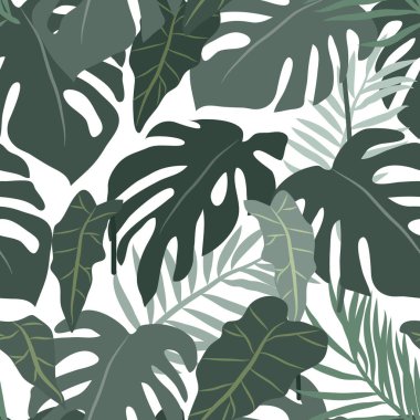 Tropikal bitki yaprakları, orman palmiyesi ve canavar yapraklarıyla vektörsüz desen. Çiçek vektörü