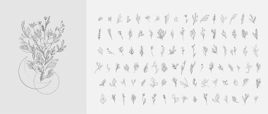 Çiçek dalı ve logo ya da dövme için minimalist çiçekler. El yapımı düğün otları, davetiye için zarif yapraklar. Randevu kartını sakla. Botanik kırsal trend yeşilliği