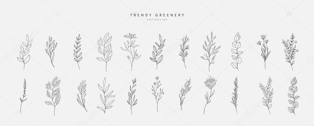 Floral branch and minimalist flowers for logo or tattoo. Hand drawn line wedding herb, elegant leaves for invitation save the date card. Botanical rustic trendy greenery vector