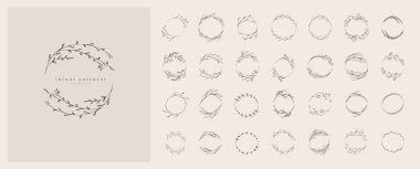 Bir dizi kadınsı botanik çiçeği dalı ve logosu. El yapımı düğün otları, zarif yapraklı ev bitkileri. Botanik kırsal trend yeşillik vektörü