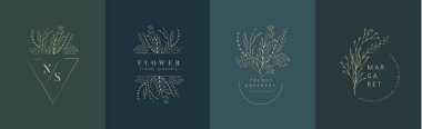 Bir dizi kadınsı botanik çiçeği dalı ve logosu. El yapımı düğün otları, zarif yapraklı ev bitkileri. Botanik kırsal trend yeşillik vektörü