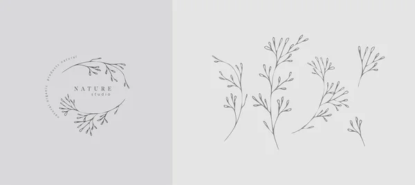 Набор иннимальной женской ботанической цветочной ветви и логотипа. Свадебная трава ручной работы, домашняя страница с элегантными листьями. Ботанический вектор модной зелени — стоковый вектор