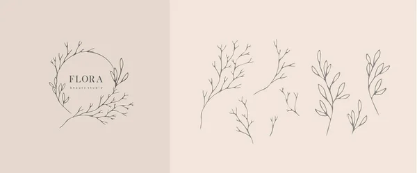 Set di ramo floreale botanico femminile inimale e logo. Erba da sposa disegnata a mano, pianta d'appartamento con foglie eleganti. Botanico rustico verde di tendenza vettore — Vettoriale Stock