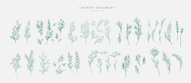 Çiçek dalı ve logo ya da dövme için minimalist çiçekler. El yapımı düğün otları, davetiye için zarif yapraklar. Randevu kartını sakla. Botanik kırsal trend yeşilliği