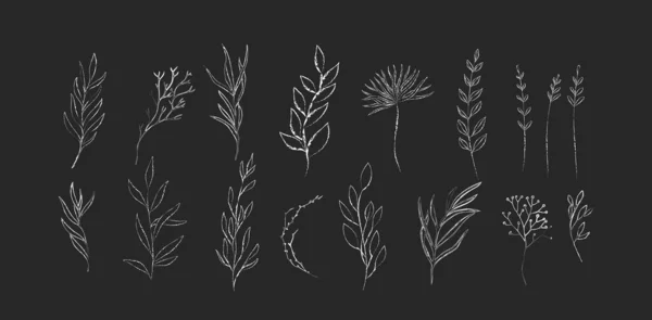 Квіткова гілка крейди та мінімалістичні квіти для логотипу на дошці. Рука намальована лінія весільної трави, елегантні листя для запрошення. Ботанічна сільська модна зелень — стоковий вектор