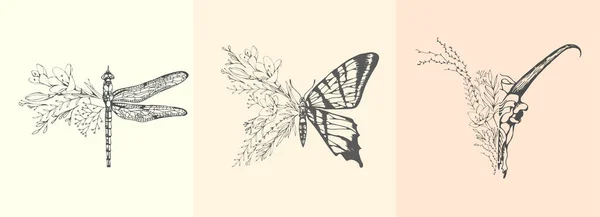 Borboleta de meia forma, libélula e crânio com ramo e flores para impressão de t-shirt de tatuagem ou arte da parede. Erva de casamento desenhada à mão. Botanical rústico vegetação da moda. Vetor — Vetor de Stock