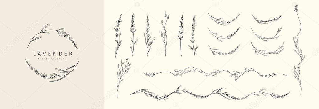 Set of Lavender logo elements and branch. Hand drawn wedding herb, plant and monogram with elegant leaves for invitation save the date card design. Botanical rustic