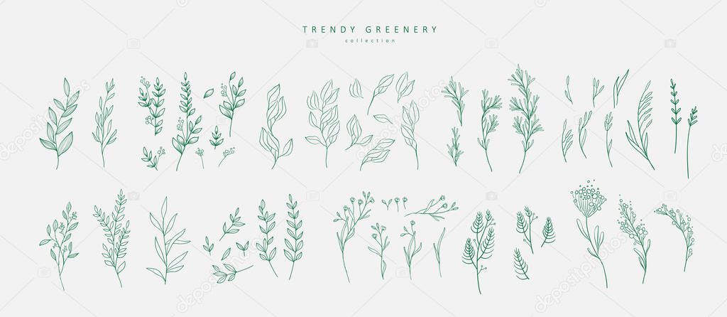 Floral branch and minimalist flowers for logo or tattoo. Hand drawn line wedding herb, elegant leaves for invitation save the date card. Botanical rustic trendy greenery vector