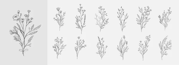 Buquê floral. Herb ramo de casamento desenhado à mão, flores minimalistas com folhas elegantes para convite salvar o design do cartão de data. Botânico rústico moderno vetor de vegetação — Vetor de Stock