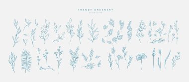 Çiçek dalı ve logo ya da dövme için minimalist çiçekler. El yapımı düğün otları, davetiye için zarif yapraklar. Randevu kartını sakla. Botanik kırsal trend yeşilliği