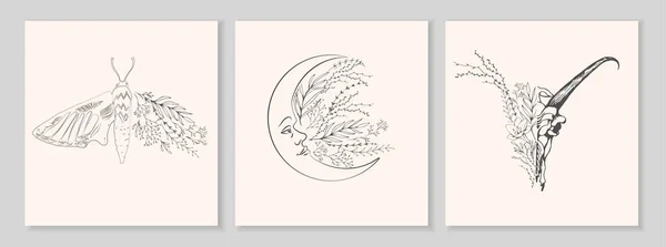 Halv form fjäril, skalle och måne med gren och blommor för tatuering t-shirt print eller väggkonst. Handritad bröllopsört. Botaniska rustika trendiga grönska. Vektor — Stock vektor
