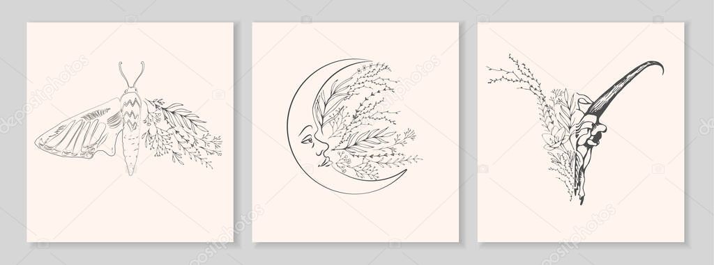 Half shape butterfly, skull and moon with branch and flowers for tattoo t-shirt print or wall art. Hand drawn wedding herb. Botanical rustic trendy greenery. Vector