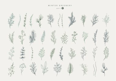 Winter greenery floral logo and branch set. Hand drawn line plant, herb with elegant leaves for christmas invitation, save the date card. Botanical rustic trendy greenery