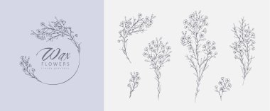Floral logo and branch set. Hand drawn line wedding herb, elegant leaves for invitation save the date card. Botanical rustic trendy greenery