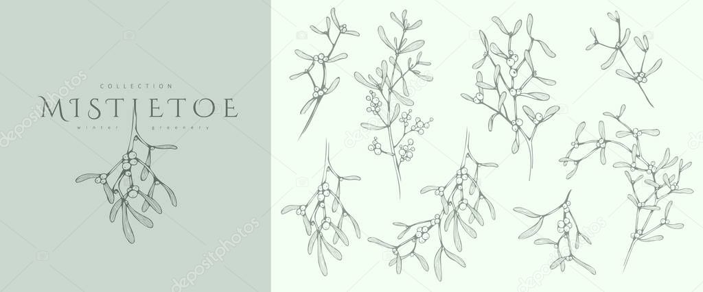 Mistletoe Floral logo and branch set. Hand drawn line winter plant, herb with elegant leaves for christmas invitation, save the date card. Botanical rustic trendy greenery vector