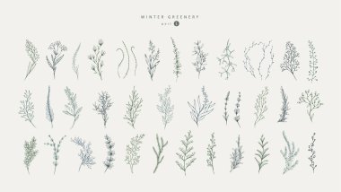 Winter greenery floral logo and branch set. Hand drawn line plant, herb with elegant leaves for christmas invitation, save the date card. Botanical rustic trendy greenery