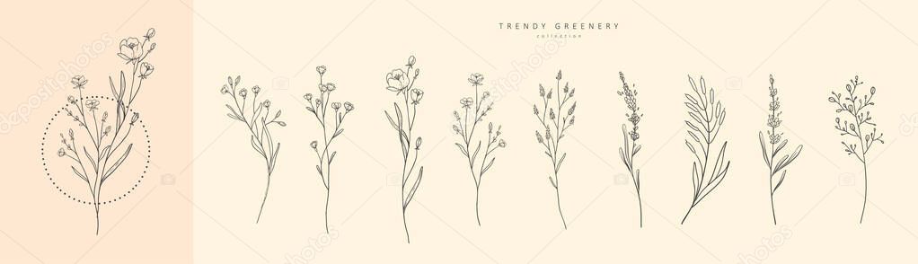 Floral branch and minimalist flowers for logo or tattoo. Hand drawn line wedding herb, elegant leaves for invitation save the date card. Botanical rustic trendy greenery vector