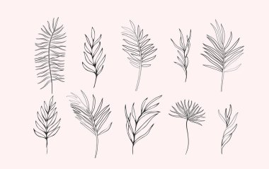 Silüet ve çizgi şeklinde palmiye dalları. Davetiye için elle çizilmiş zarif egzotik yapraklar tarih kartı tasarımını kaydet. Bitkisel trend yeşillik