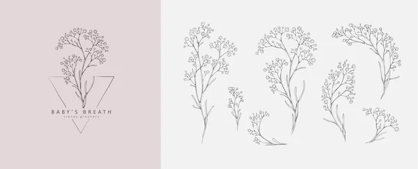 Лимоний, логотип и ветка детского дыхания. Ручной рисунок свадебной травы, растения и монограммы с элегантными листьями для приглашения сохранить дизайн карты даты — стоковый вектор
