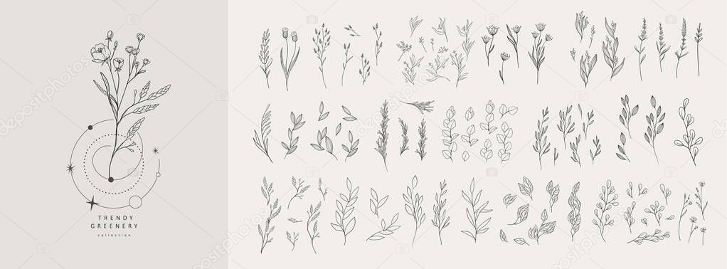 Floral branch and minimalist flowers for logo or tattoo. Hand drawn line wedding herb, elegant leaves for invitation save the date card. Botanical rustic trendy greenery vector