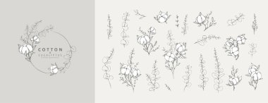 Pamuk ve okaliptüs bitki logosu ve dalı. El yapımı düğün otları, davetiye için zarif yapraklar. Tarih kartını kaydedin.