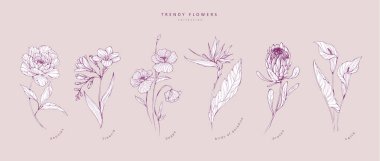 Logo ya da dekorasyon için moda çiçekler. El yapımı düğün dekorasyonu, davetiye için zarif yapraklar tarih kartını sakla. Botanik kırsal trend yeşilliği