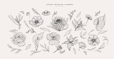 Logo ya da dekorasyon için moda çiçekler. El yapımı düğün dekorasyonu, davetiye için zarif yapraklar tarih kartını sakla. Botanik kırsal trend yeşilliği