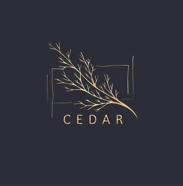 Minimum kadın çiçekli monogram ve logo. El yapımı düğün otları, zarif yapraklar. Botanik kırsal trend yeşillik vektörü