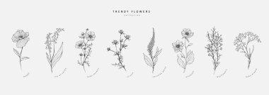 Moda çiçekleri ve logo ya da dekorasyon için minimalist çiçekler. El yapımı düğün otları, davetiye için zarif yapraklar. Randevu kartını sakla. Botanik kırsal trend yeşilliği