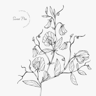 Logo ya da dekorasyon için moda düğün çiçekleri. El yapımı düğün dekorasyonu, davetiye için zarif yapraklar tarih kartını sakla. Botanik kırsal trend yeşilliği