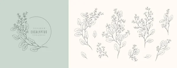 Семенной эвкалиптовый логотип и цветочная ветвь. Ручной рисунок свадебной травы, растения и монограммы с элегантными листьями для приглашения сохранить дизайн карты даты — стоковый вектор