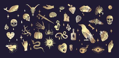 Bir çift boho el mistik sihir seti. Esrarengiz karalama elementleri ve elleri olan logo simgeleri, kuzgun hançeri. Siyah taslak tarzı. Soyut vektör illüstrasyonu