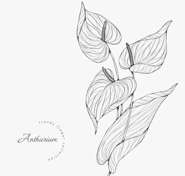 Logo ya da dekorasyon için moda düğün çiçekleri. El yapımı düğün dekorasyonu, davetiye için zarif yapraklar tarih kartını sakla. Botanik kırsal trend yeşilliği