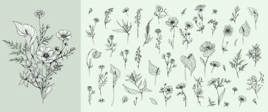 Moda çiçekleri ve logo ya da dekorasyon için minimalist çiçekler. El yapımı düğün otları, davetiye için zarif yapraklar. Randevu kartını sakla. Botanik kırsal trend yeşilliği