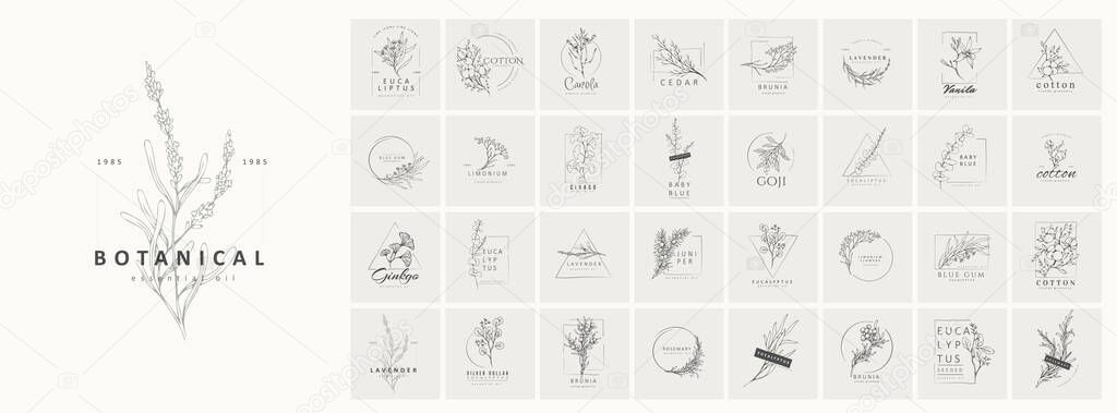 Floral logo and branch. Hand drawn wedding herb, plant and monogram with elegant leaves for invitation save the date card design. Botanical rustic trendy greenery vector illustration