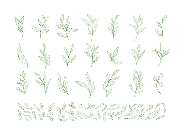 Квіткова гілка і мінімалістичні листя для логотипу або татуювання. Рука намальована лінія весільної трави, елегантні листя для запрошення зберегти листівку дати. Ботанічна сільська модна зелень — стоковий вектор