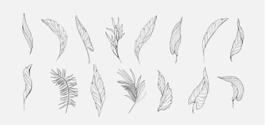 Silüet ve çizgi şeklinde palmiye dalları. Davetiye için elle çizilmiş zarif egzotik yapraklar tarih kartı tasarımını kaydet. Bitkisel trend yeşillik