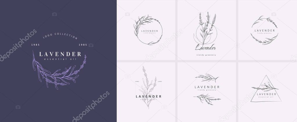 Set of Lavender logo collection. Hand drawn wedding herb, plant and monogram with elegant leaves for invitation save the date card design. Botanical rustic