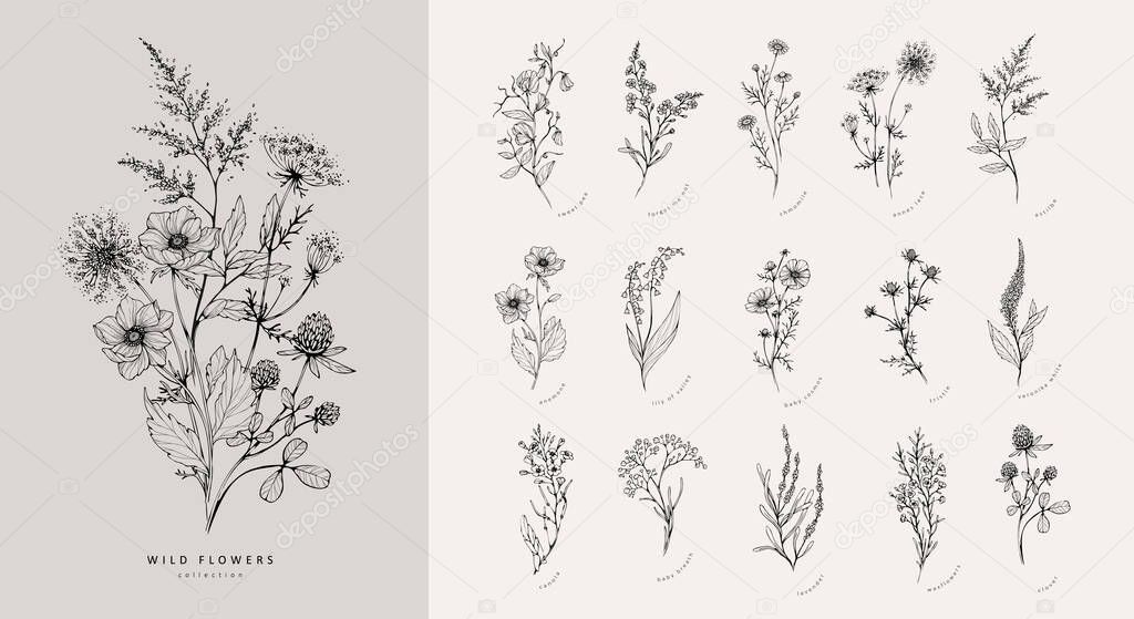 Set of trendy wildflowers and minimalist flowers for logo or decorations. Hand drawn line wedding herb, elegant leaves for invitation save the date card. Botanical rustic trendy greenery vector