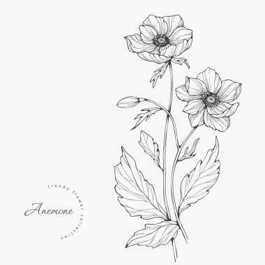 Logo ya da dekorasyon için moda düğün çiçekleri. El yapımı düğün dekorasyonu, davetiye için zarif yapraklar tarih kartını sakla. Botanik kırsal trend yeşilliği