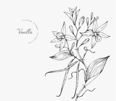 Logo ya da dekorasyon için moda düğün çiçekleri. El yapımı düğün dekorasyonu, davetiye için zarif yapraklar tarih kartını sakla. Botanik kırsal trend yeşilliği