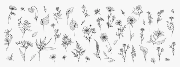 Trendi virágos ág és minimalista virágok logó vagy dekoráció. Kézzel rajzolt vonal esküvői gyógynövény, elegáns levelek meghívót menteni a dátumkártyát. Botanikai rusztikus trendi növényzet — Stock Vector