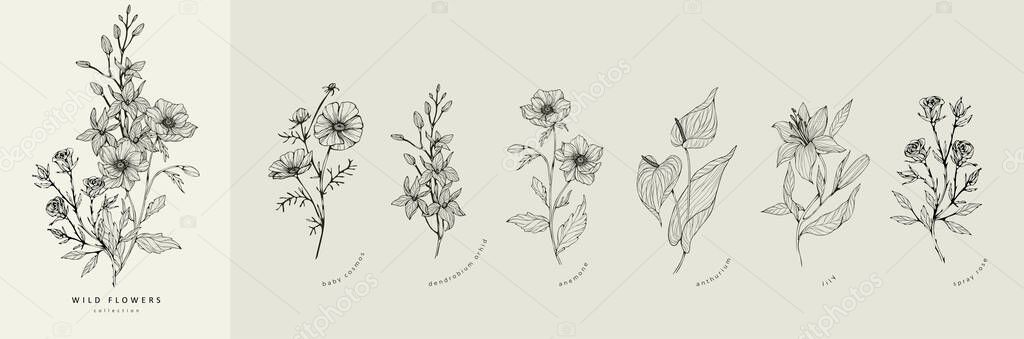 Trendy floral branch and minimalist flowers for logo or decorations. Hand drawn line wedding herb, elegant leaves for invitation save the date card. Botanical rustic trendy greenery