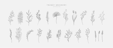 Çiçek dalı ve logo ya da dövme için minimalist çiçekler. El yapımı düğün otları, davetiye için zarif yapraklar. Randevu kartını sakla. Botanik kırsal trend yeşilliği