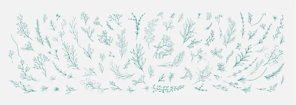 Модные цветочные ветви и минималистские цветы для логотипа или украшений. Ручная линия свадебной травы, элегантные листья для приглашения сохранить дату карты. Ботаническая деревенская модная зелень — стоковый вектор
