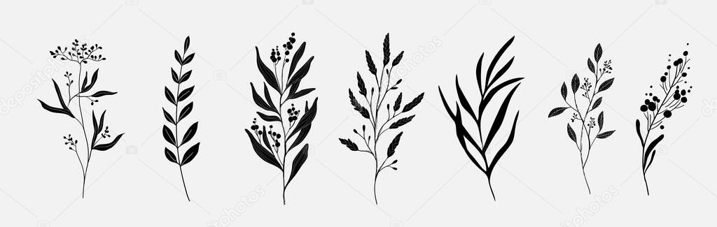 Minimal feminine botanical floral branch in silhouette style. Hand drawn wedding herb, minimalistic flowers with elegant leaves. Botanical rustic trendy greenery vector illustration